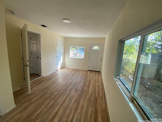 foyer featuring hardwood / wood-style flooring and a healthy amount of sunlight