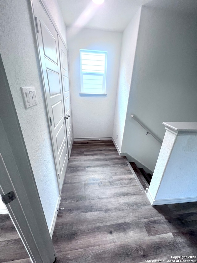 hallway featuring dark wood-type flooring