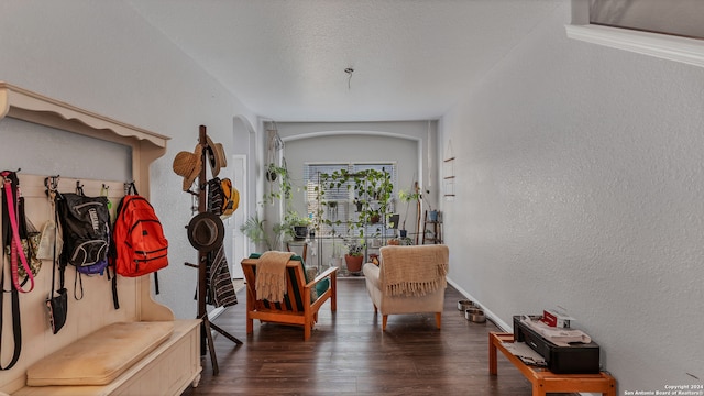 corridor featuring dark hardwood / wood-style flooring