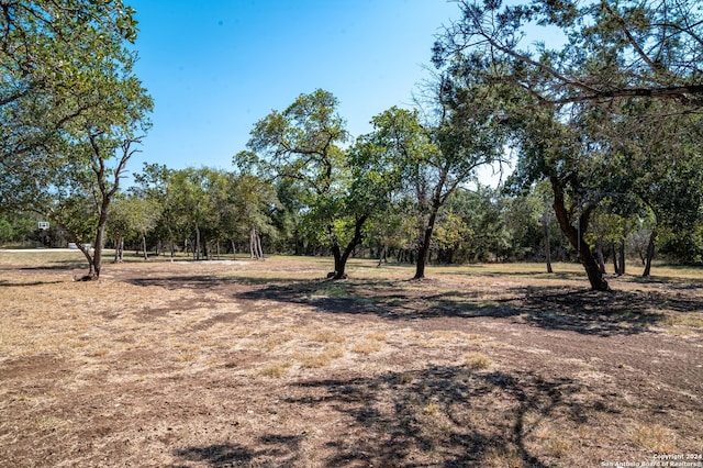 view of local wilderness