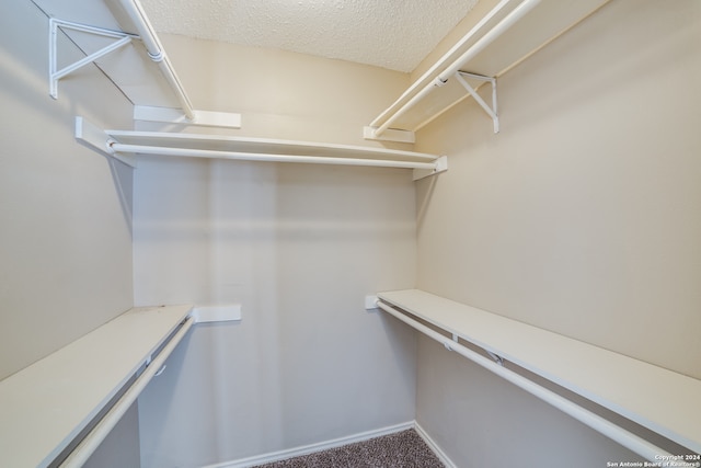 walk in closet with carpet floors