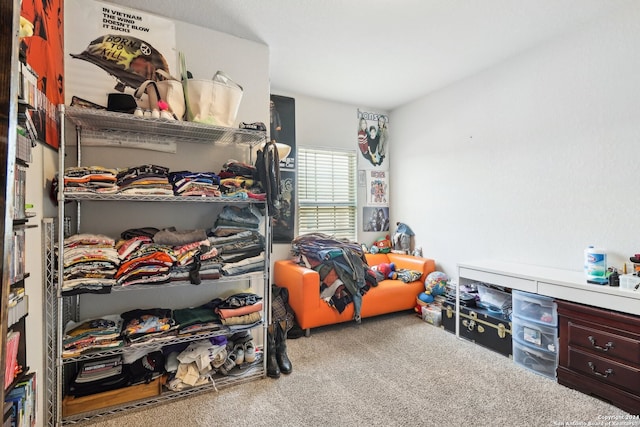 interior space featuring carpet floors