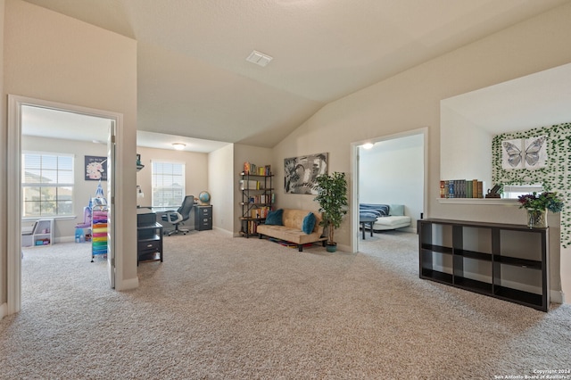 232 Wickersham, Boerne, TX 78015 - living area with carpet floors, baseboards, and lofted ceiling