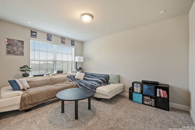 232 Wickersham, Boerne, TX 78015 - carpeted living area featuring baseboards