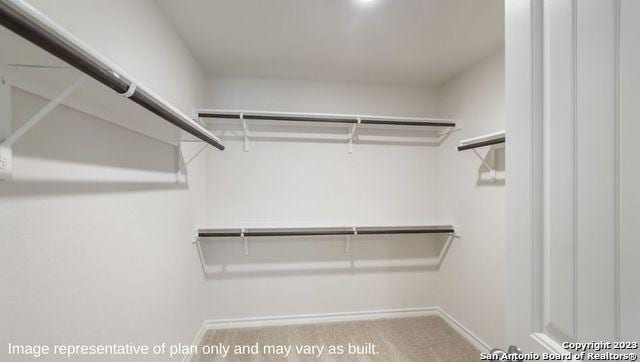 spacious closet with carpet floors