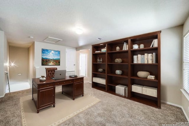 2815 Bandbury Oak, San Antonio, TX 78247 - home office with baseboards, light colored carpet, attic access, and radiator