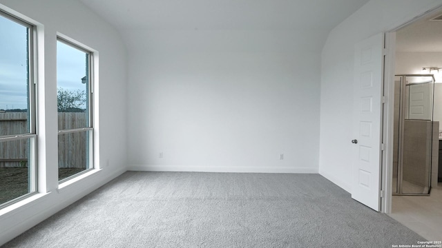 unfurnished room featuring a wealth of natural light and light colored carpet