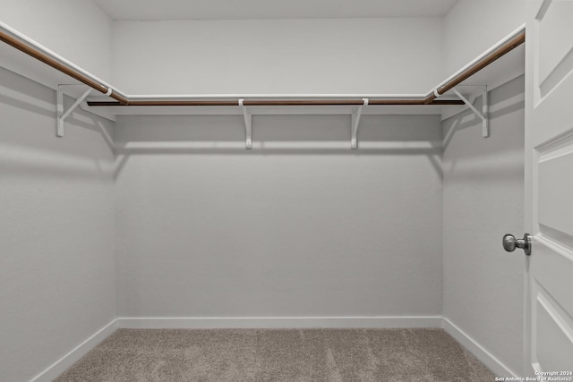 walk in closet featuring carpet flooring