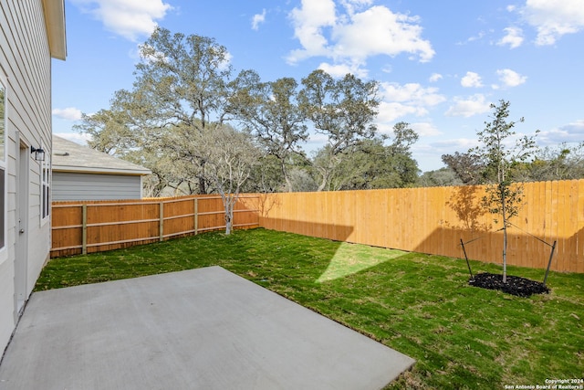 view of yard featuring a patio area