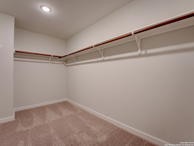 walk in closet with carpet floors