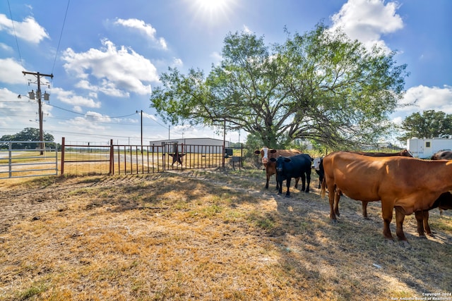 Listing photo 3 for 12153 E US Highway 87 W, La Vernia TX 78121