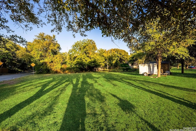 view of yard featuring a shed