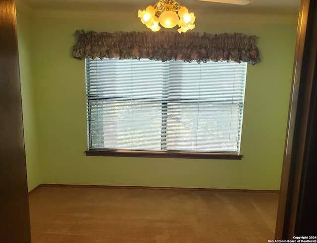 empty room featuring ornamental molding, carpet, and a wealth of natural light