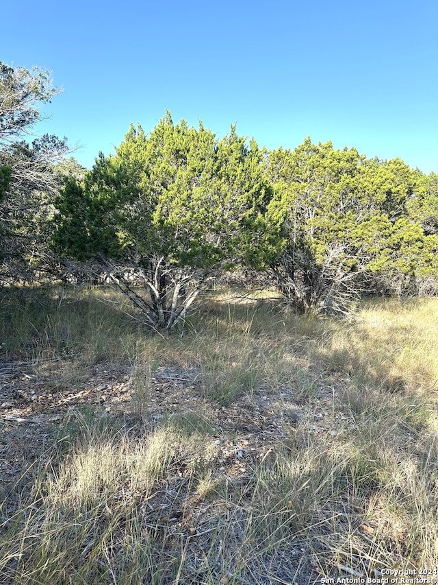 Listing photo 3 for 00 Palomino Spgs, Bandera TX 78003