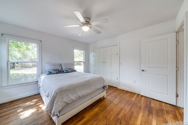 bedroom featuring ceiling fan, a closet, and dark hardwood / wood-style flooring