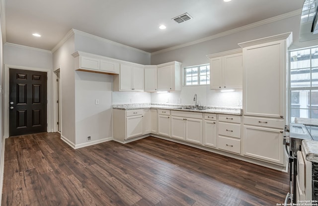 kitchen with light stone countertops, white cabinetry, dark wood-type flooring, and sink