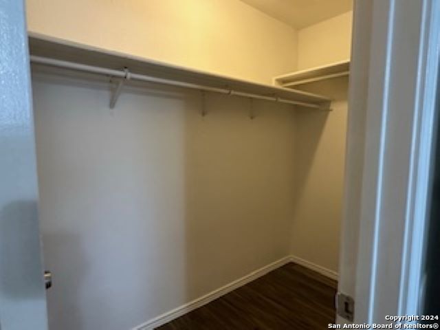 spacious closet featuring dark wood-type flooring