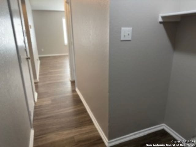 hallway featuring dark hardwood / wood-style flooring