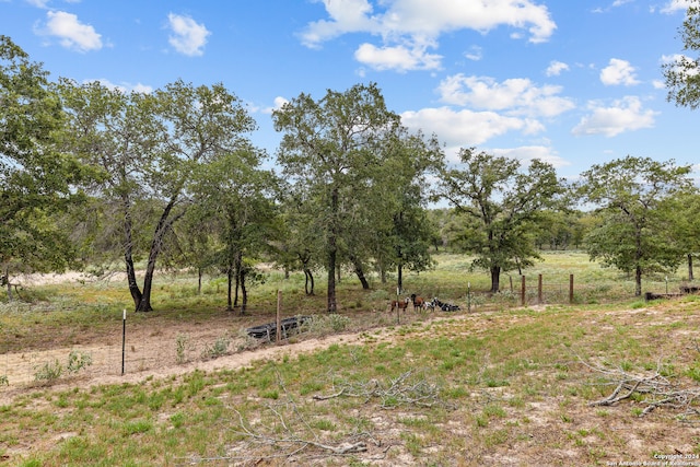 view of yard with a rural view