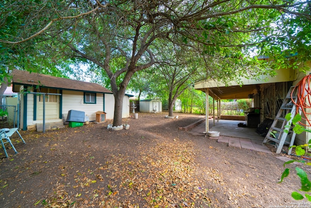 view of yard with a storage shed and a patio area