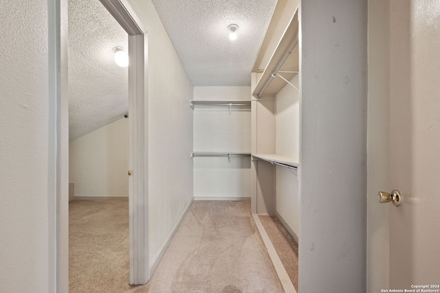 spacious closet featuring light colored carpet