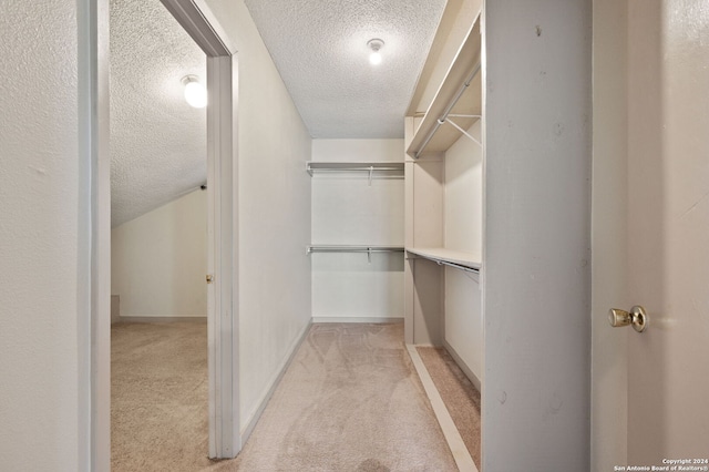 walk in closet with light carpet