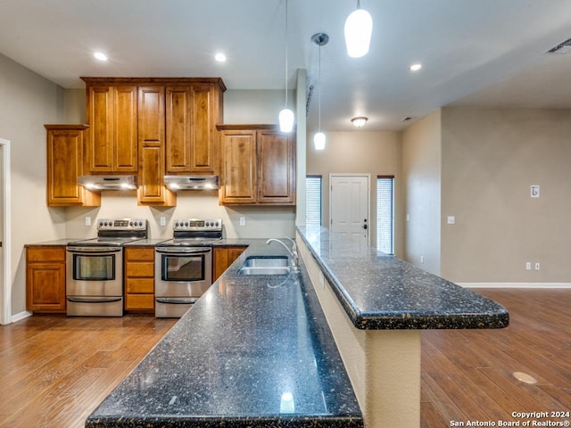 kitchen with stainless steel electric stove, under cabinet range hood, and a sink