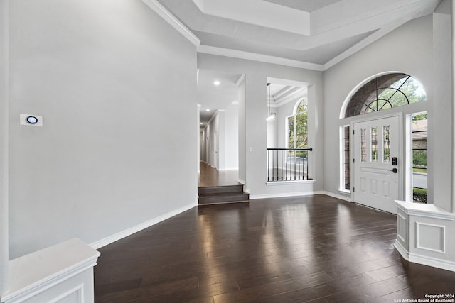 entryway featuring a towering ceiling, dark hardwood / wood-style floors, and crown molding