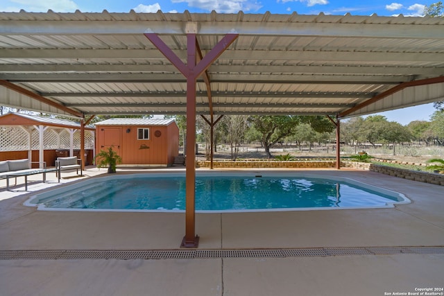 view of swimming pool with a shed and a patio area