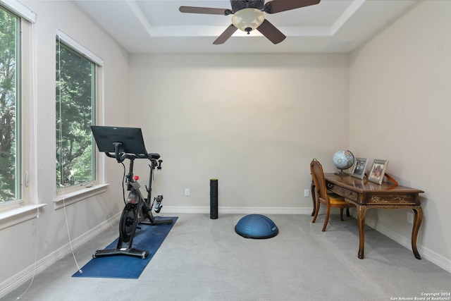 exercise area featuring plenty of natural light, a tray ceiling, and carpet