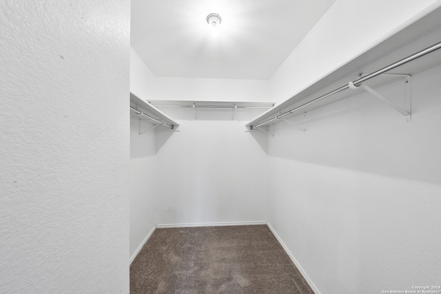 walk in closet featuring dark colored carpet