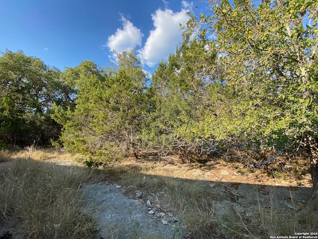 view of landscape