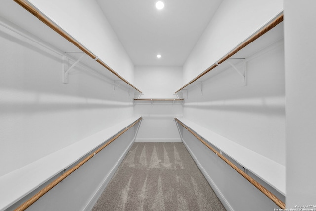 walk in closet featuring carpet floors