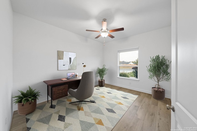 office space with light hardwood / wood-style floors and ceiling fan