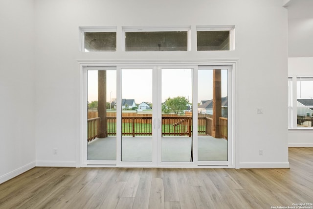 doorway featuring light hardwood / wood-style flooring and a wealth of natural light