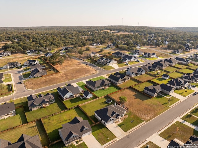 bird's eye view