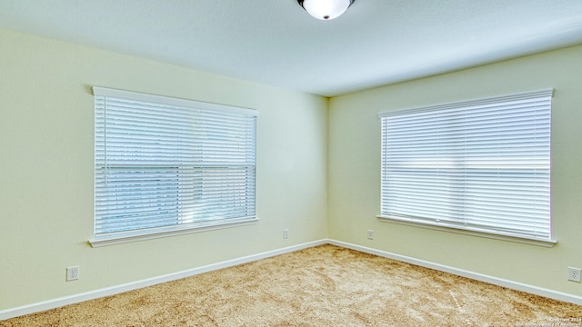 carpeted spare room featuring a wealth of natural light