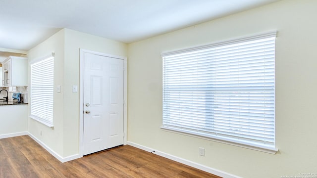 foyer entrance featuring hardwood / wood-style floors and a healthy amount of sunlight