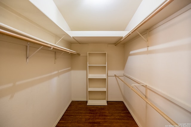 walk in closet with dark wood-type flooring