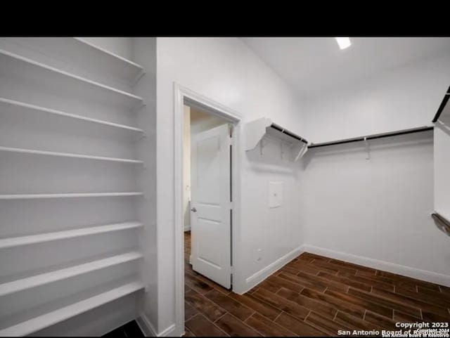 spacious closet featuring dark hardwood / wood-style flooring