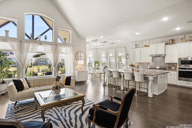 living room with dark wood-type flooring and high vaulted ceiling