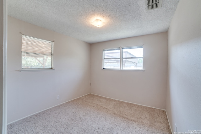 spare room featuring light carpet and a textured ceiling