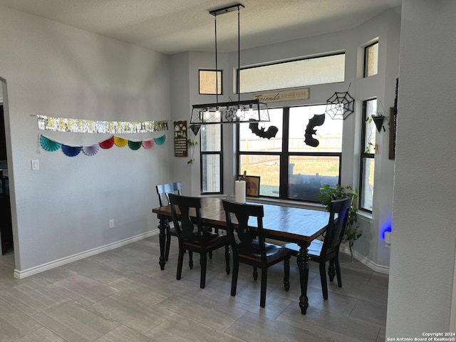 dining room featuring a textured ceiling