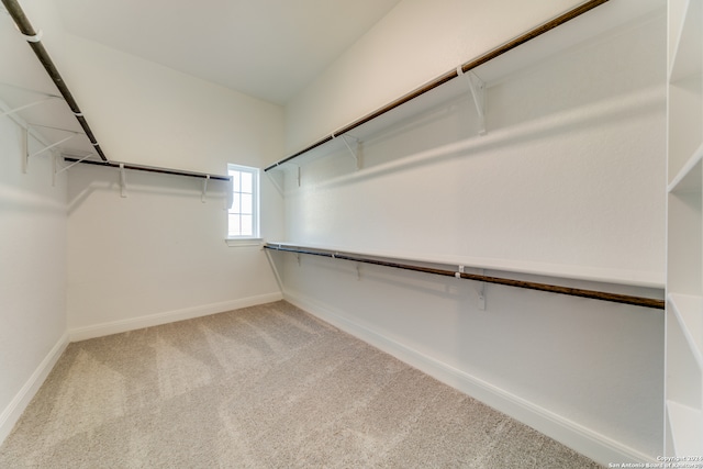 walk in closet with carpet flooring