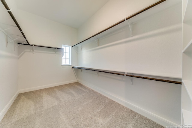 24706 Faraday, San Antonio, TX 78257 - spacious closet featuring carpet flooring
