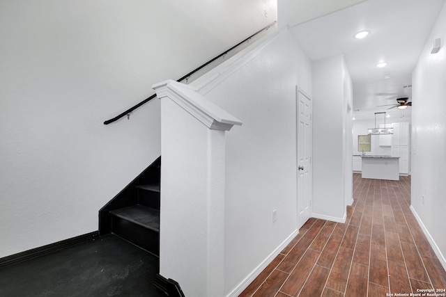 staircase featuring ceiling fan and hardwood / wood-style floors