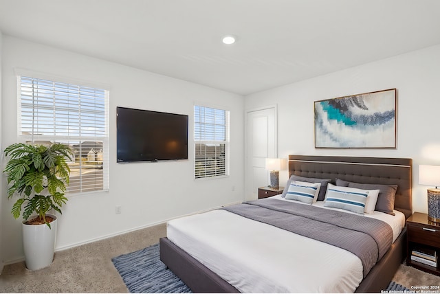 bedroom featuring carpet flooring