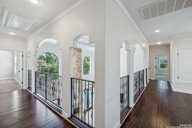 hallway with ornamental molding, dark wood-type flooring, and plenty of natural light