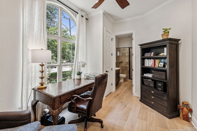 home office featuring light hardwood / wood-style flooring, ceiling fan, and crown molding