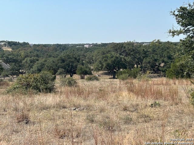 Listing photo 2 for 134 George Dolson, Blanco TX 78606